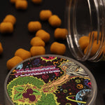 MULBERRY FLORENTINE